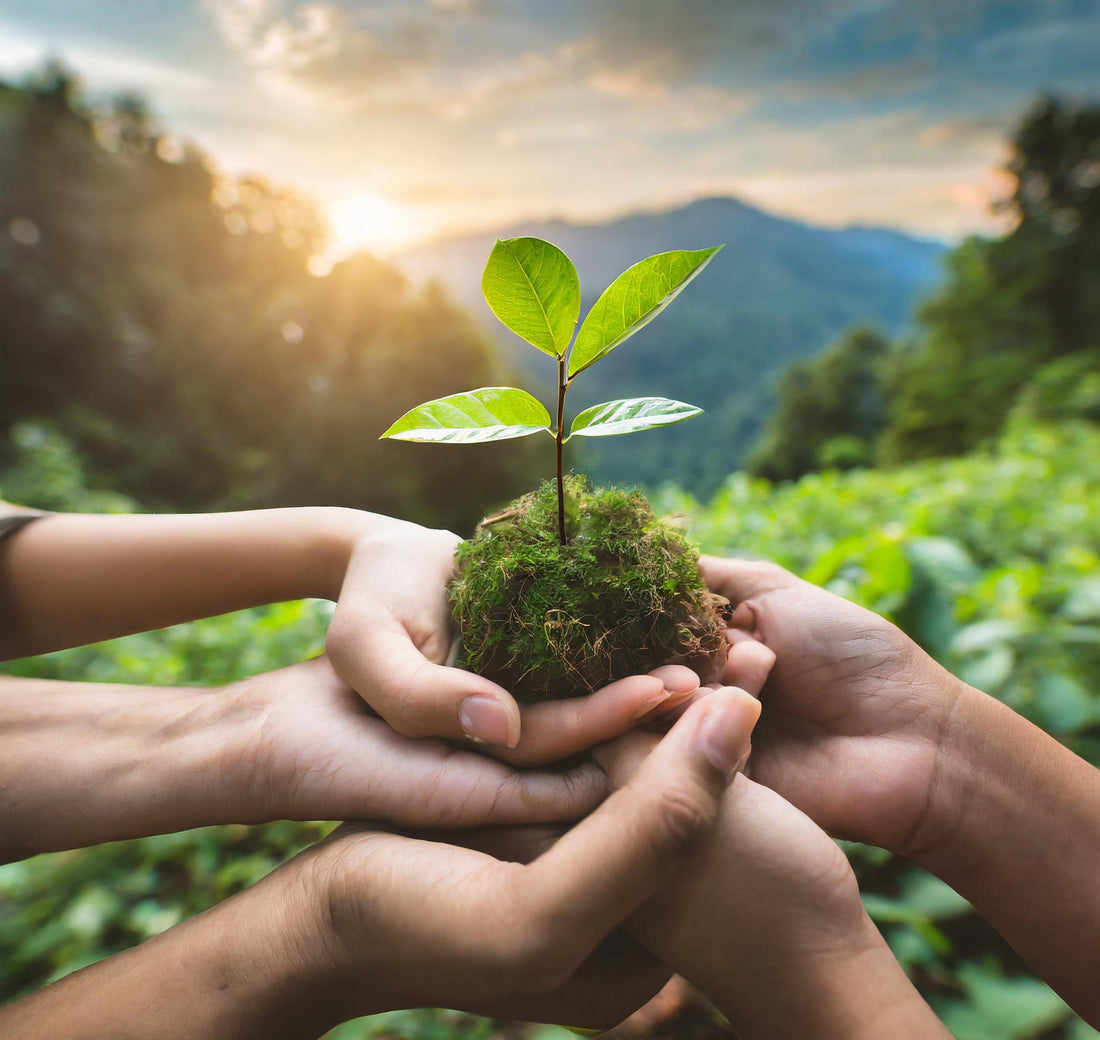 NIKSME : CLEAN & ECO-FRIENDLY PACKAGE